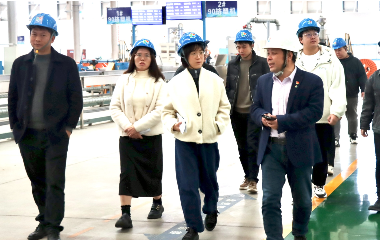 宜賓市經(jīng)合新產(chǎn)局領(lǐng)導(dǎo)來訪遠東電纜（宜賓）
