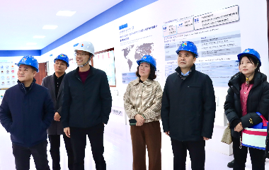 陽(yáng)光電源股份、宜賓智能制造行業(yè)協(xié)會(huì)、宜賓安徽商會(huì)調(diào)研遠(yuǎn)東電纜（宜賓）